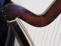 Preview: Petutschnigg Premium